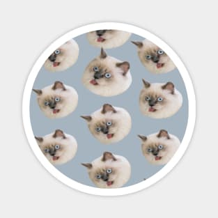 1980s Kawaii kitty funny crazy angry birman cat Magnet